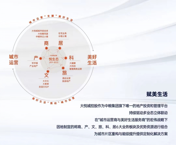 透过一场盛典,看大悦城控股商办的创新与未来(图2)