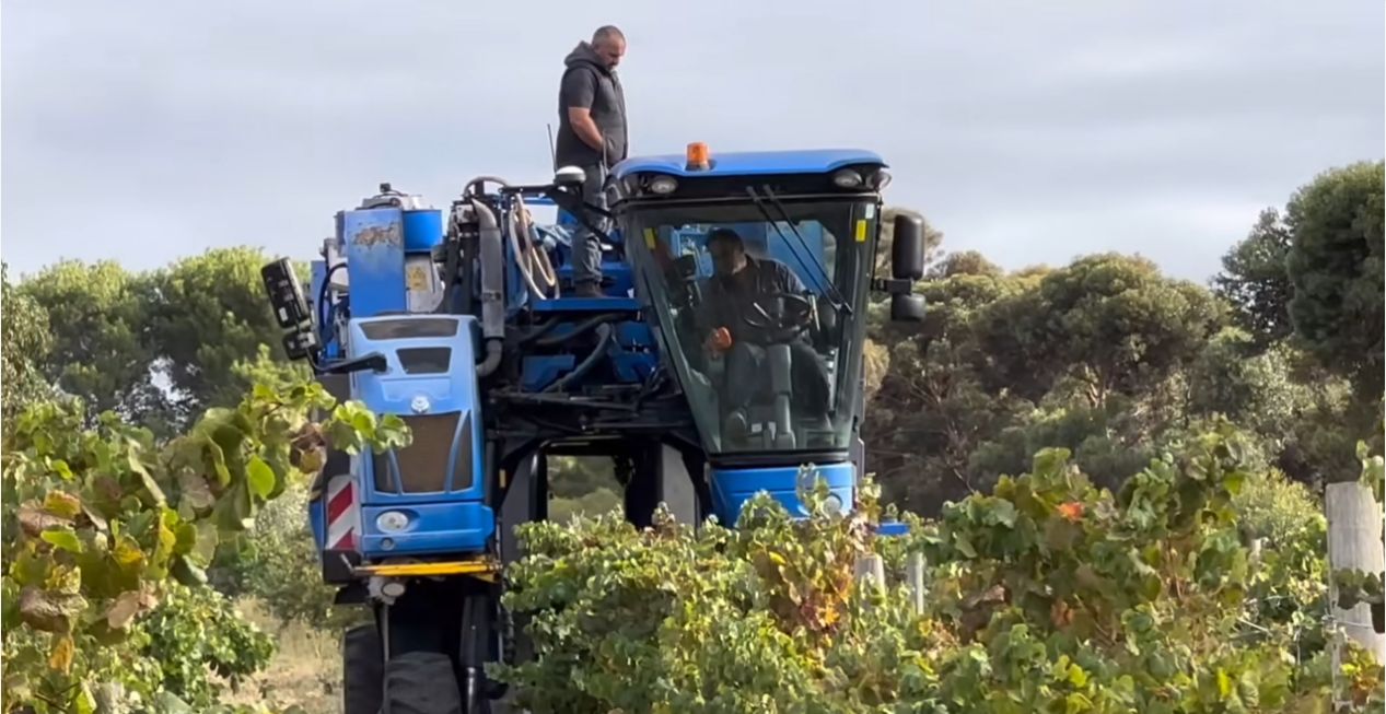 从土壤到酒杯：云仓酒庄构建全链路品质管控新模式